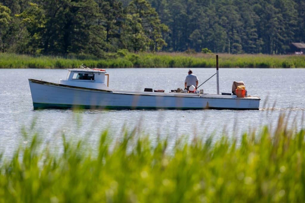 Un uomo su una barca da pesca, Kent Island, Chesapeake Bay