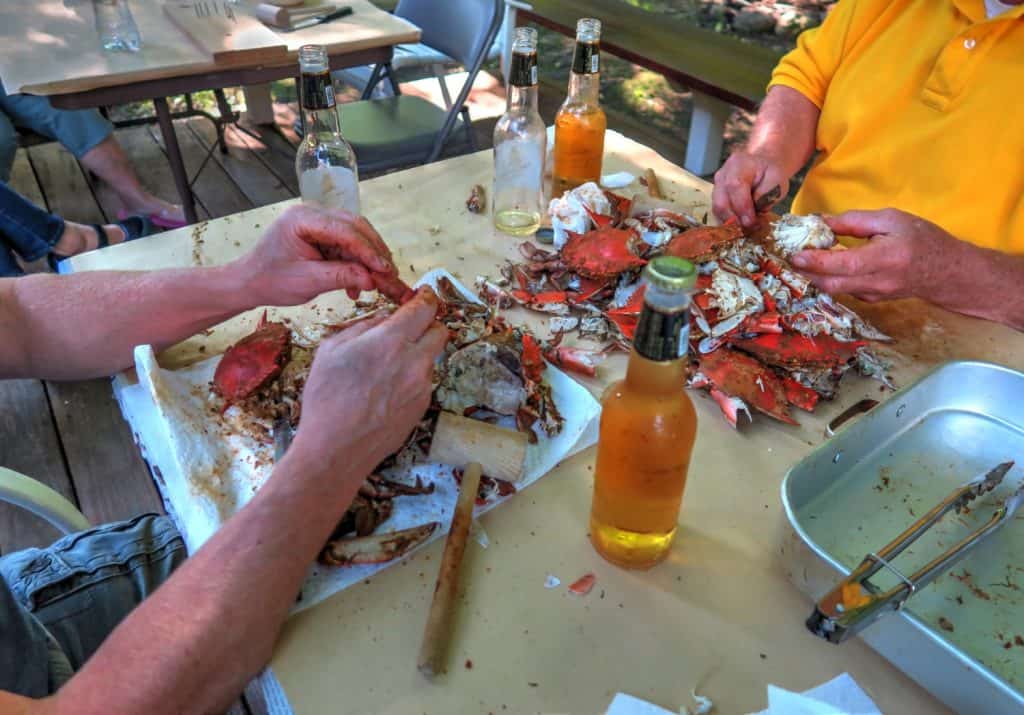 Festa del granchio nel cortile mangiando granchio blu al vapore da Baltimora, nel Maryland, in estate