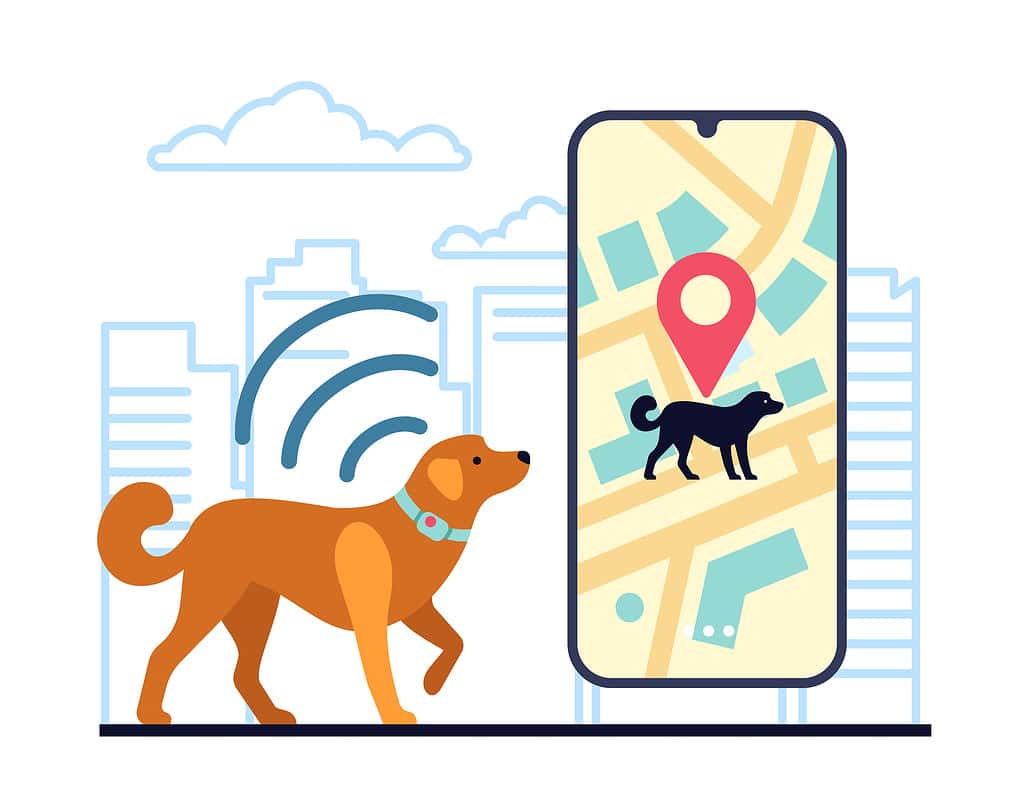 Collare GPS sul cane per tracciare la posizione della città. Applicazione per smartphone. Mappa urbana. Geolocalizzazione degli animali domestici. Monitoraggio della direzione del cucciolo. Tracciamento degli animali. Tecnologia mobile. Navigatore del telefono. Concetto di vettore