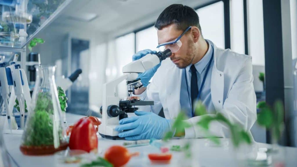 Microbiologo maschio che esamina un campione di carne vegana coltivata in laboratorio al microscopio. Scienziato medico che lavora su un sostituto vegetale della carne bovina per i vegetariani in un moderno laboratorio di scienze alimentari.