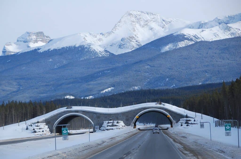 carreggiata con ponte sopra e montagne innevate sullo sfondo