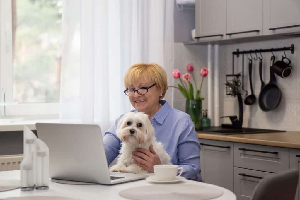 Una donna sorridente senior con un cane maltese ha una chat video con i nipoti e saluta. Saluto dell'insegnante di scuola online con i bambini Concetto di e-learning. Restare a casa concetto.