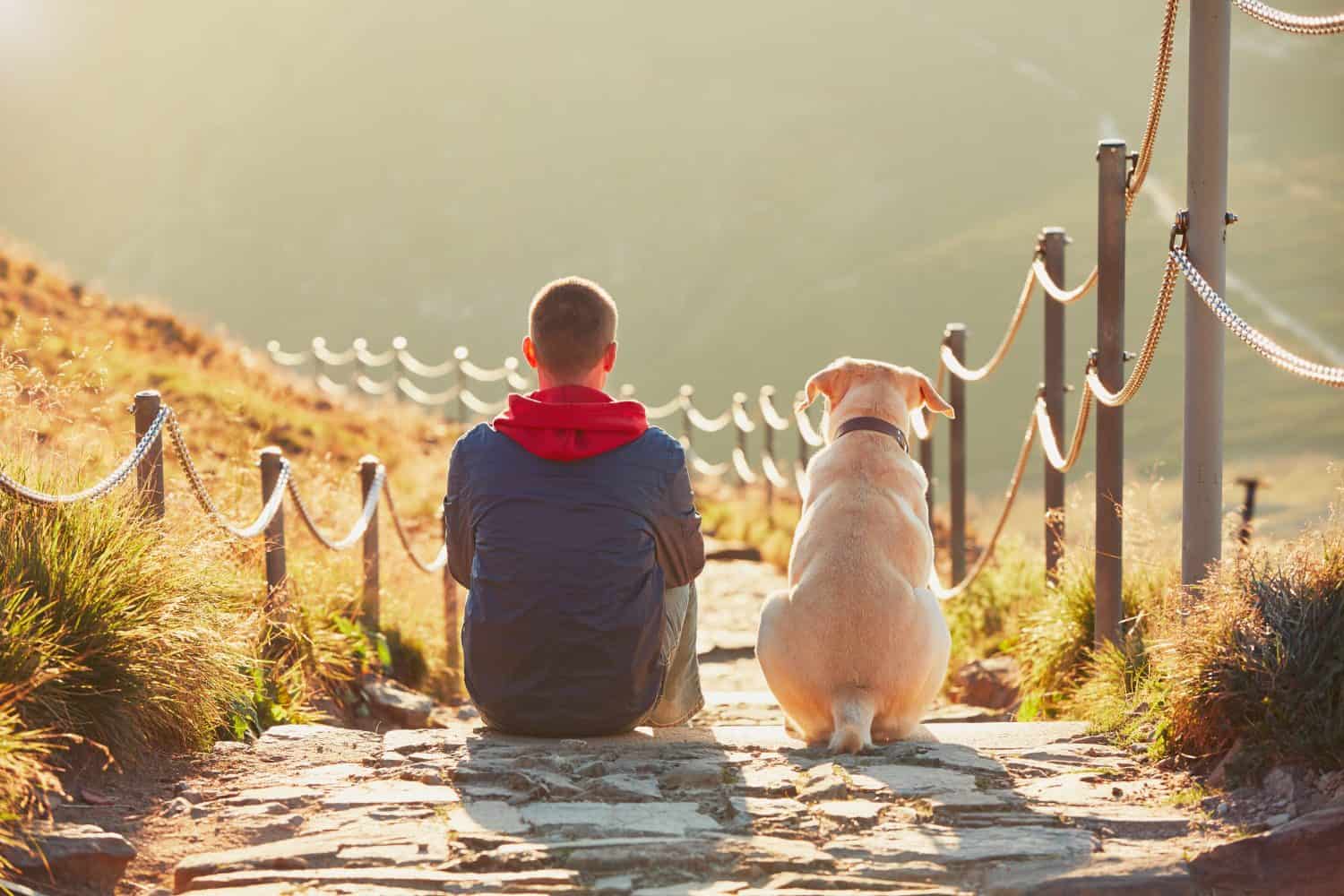 Uomo con cane durante il viaggio in montagna. Il giovane turista e il suo cane stanno riposando e insieme guardano il tramonto. - retroilluminato