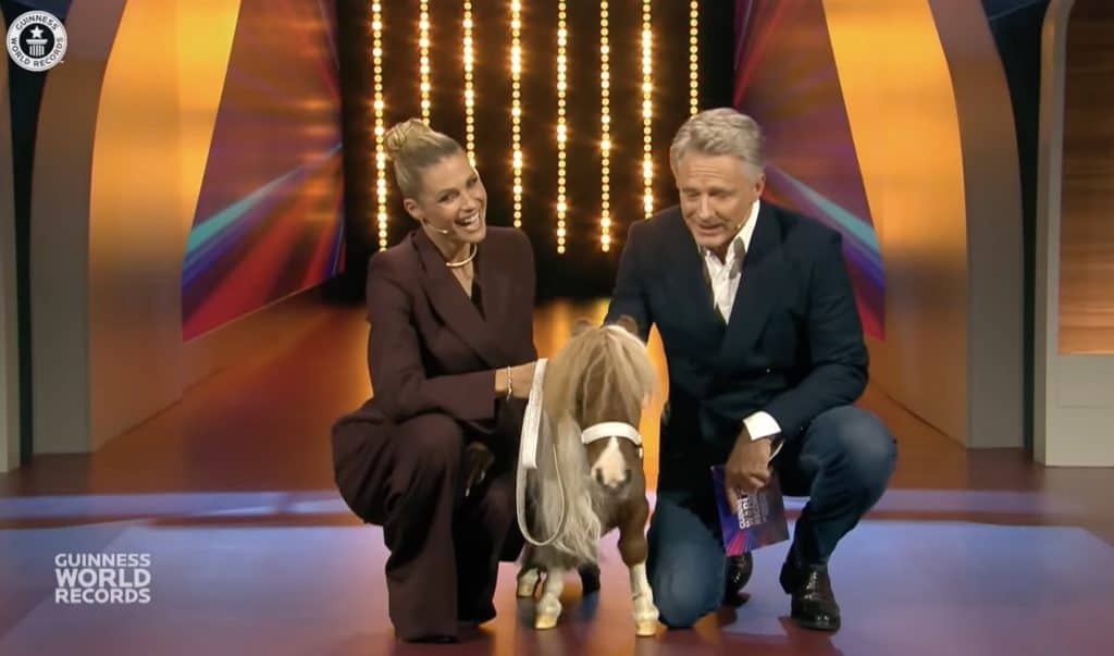 Pumuckel, il cavallo vivente più basso