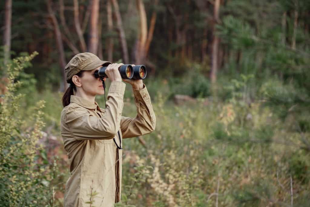 Una donna ranger del parco in uniforme guarda attraverso il binocolo e monitora l'area forestale in estate, messa a fuoco selettiva. Ecologo, parco nazionale, guardia forestale, concetto di conservazione ambientale