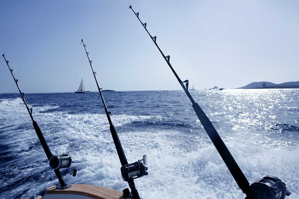 Pesca a traina in barca nel Mediterraneo
