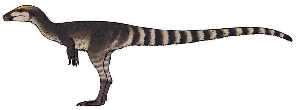 Ricostruzione della vita del Sinosauropteryx lingyuanensis