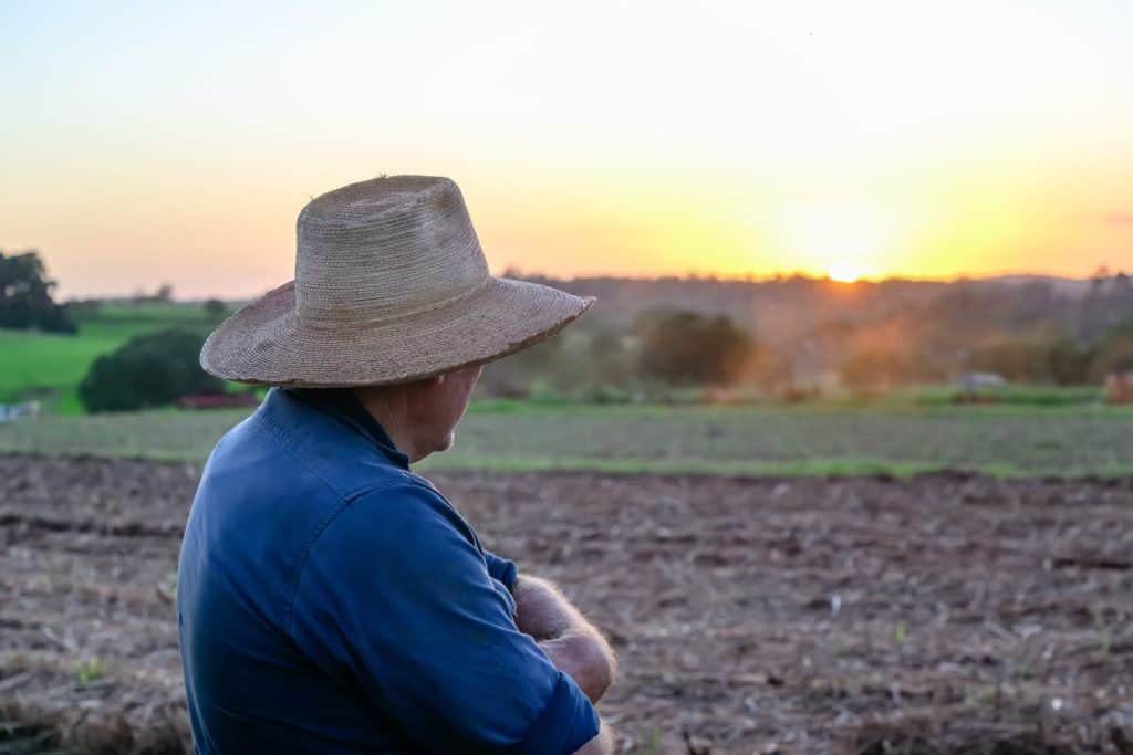 L'agricoltore osserva i campi dei paddock dei raccolti al tramonto, l'uomo che lavora alla fine della giornata, Queensland Australia