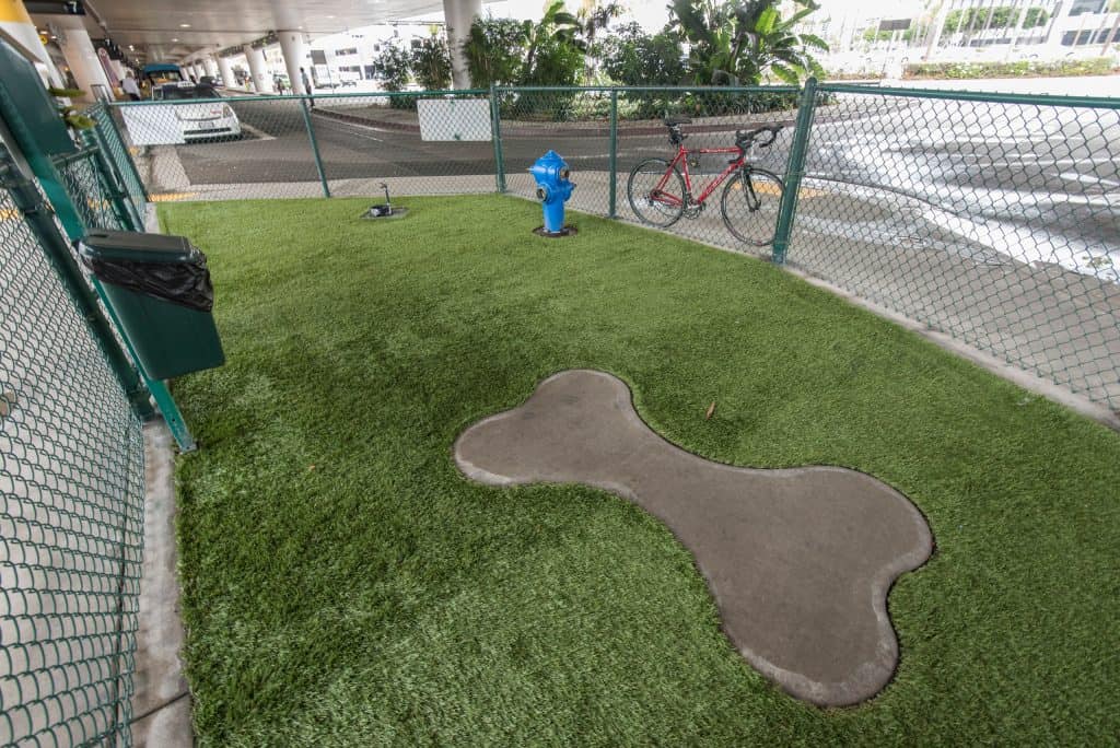 Area di soccorso per animali domestici al LAX 