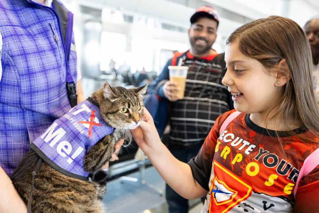 Terapia aeroportuale per animali domestici all'aeroporto internazionale di Denver