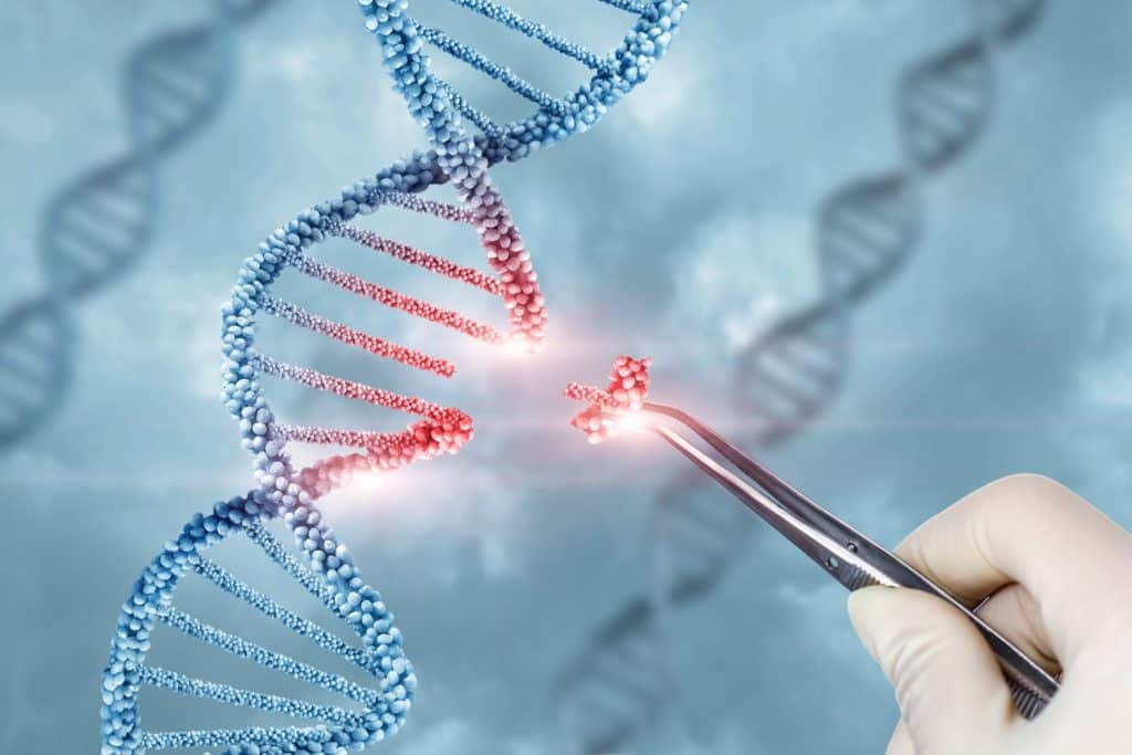 Concetto di trattamento e aggiustamento della molecola di DNA.