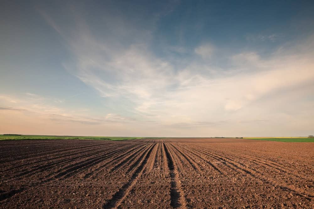 Sfocatura selettiva sui solchi di un paesaggio agricolo vicino ad una fattoria, un campo arato nella campagna di Titelski, Serbia, Voivodina. L'aratro è una tecnica utilizzata in agricoltura per concimare un terreno.
